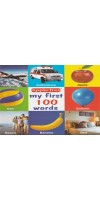 My first 100 Words